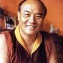 Karma Kagyu lamas