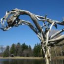 1989 sculptures