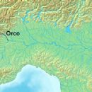 Orco