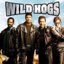 Wild Hogs