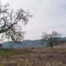 Valleys of Sonoma County, California