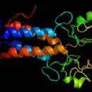 BRCA1