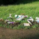 June 2009 crimes in Europe