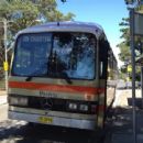 Bus transport in Sydney
