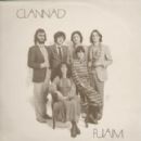 Celtic albums by Irish artists