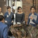 Bones (2005)