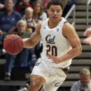 Matt Bradley (basketball)