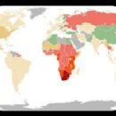 1981 health disasters