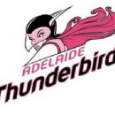 Netball teams in Australia by league