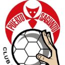 1951 in handball