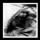 Desolation Sounds - Gallows