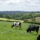 Blackdown Hills