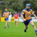 1982 in Gaelic games