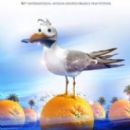 2011 festivals in Turkey