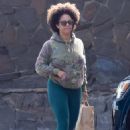 Aryn Drake-Lee – Shopping candids at McCall’s Meat and Fish Co butcher shop in Los Angeles - 454 x 636