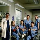 Grey's Anatomy Season photos