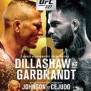 UFC 227