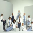 Grey's Anatomy Season 4 Cast - 454 x 303