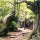 Archaeological sites in South Yorkshire