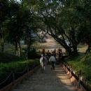 1228 establishments in Asia