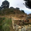 Iberians