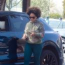 Aryn Drake-Lee – Shopping candids at McCall’s Meat and Fish Co butcher shop in Los Angeles - 454 x 636
