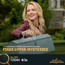 Fixer Upper Mysteries - Jewel