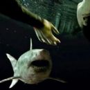 47 Meters Down: Uncaged (2019) - 454 x 256