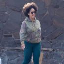 Aryn Drake-Lee – Shopping candids at McCall’s Meat and Fish Co butcher shop in Los Angeles - 454 x 636