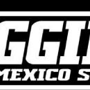 2010s in sports in New Mexico