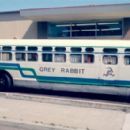 Transport companies disestablished in the 1980s