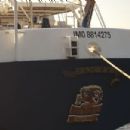 International Maritime Organization