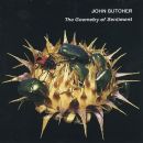 the geometry of sentiment - John Butcher (musician)
