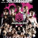 DDT Into The Fight