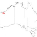 Taxa named by Bruce Maslin