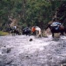 Hiking and bushwalking tracks in Australia