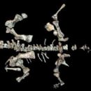 Triassic India