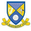 1925 in Gaelic games
