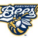 Burlington Bees