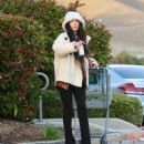 Megan Fox – Shopping for groceries on New Years Day in L.A