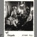April 1970 - Jethro Tull in LA by Herb Green. This would be used in their 1972 album 