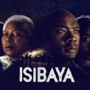2013 South African television series debuts
