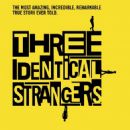 Three Identical Strangers