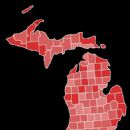 Michigan elections, 1920