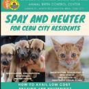 Cebu City