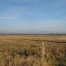 Wetlands of Germany