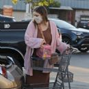 Mia Swier – Steps out for grocery shopping at Gelson’s Market in Los Angeles - 454 x 681