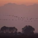 Landforms of Tulare County, California