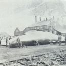 History of Antarctica