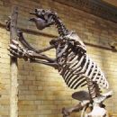 Prehistory of Uruguay